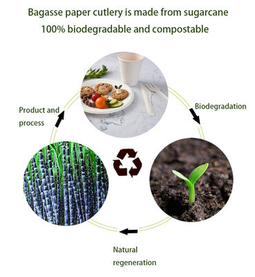 Biodegradable Compostable Bagasse Paper Disposable Cutlery